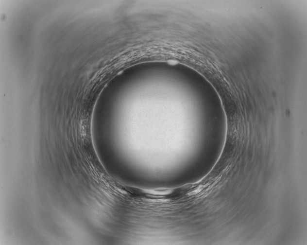 X0000086971490200704161530