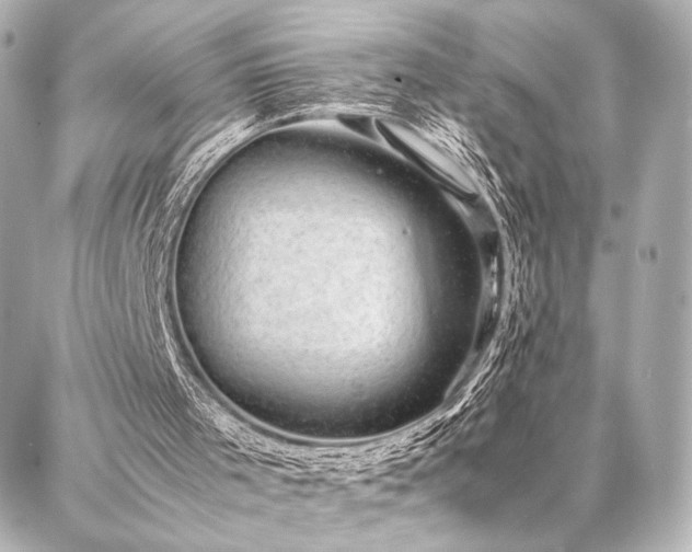 X0000086970001200704231527