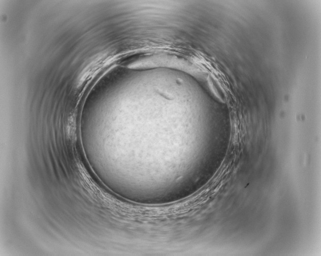 X0000086970002200704231527