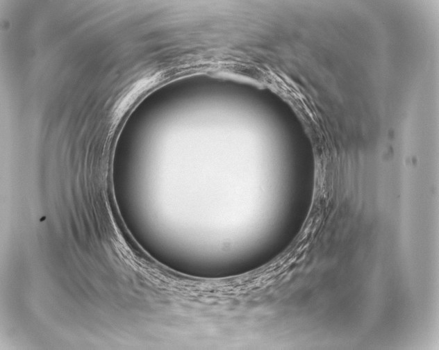 X0000086970003200704231527