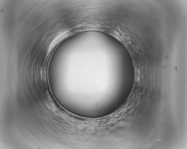 X0000086970004200704231527