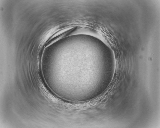 X0000086970005200704231527