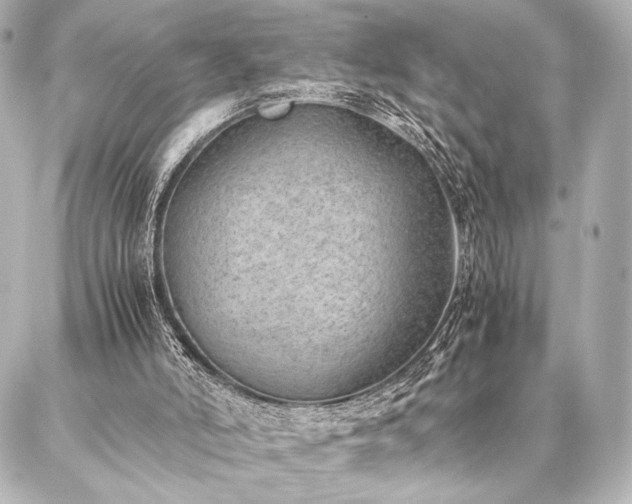 X0000086970006200704231527