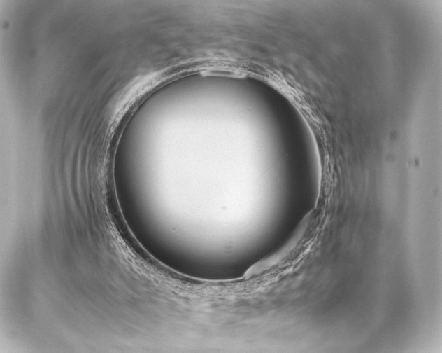 X0000086970007200704231527