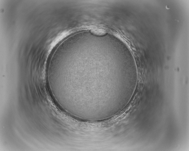 X0000086970008200704231527