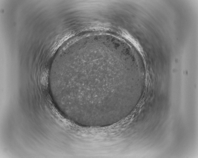 X0000086970009200704231527