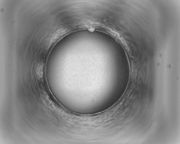 X0000086970010200704231527