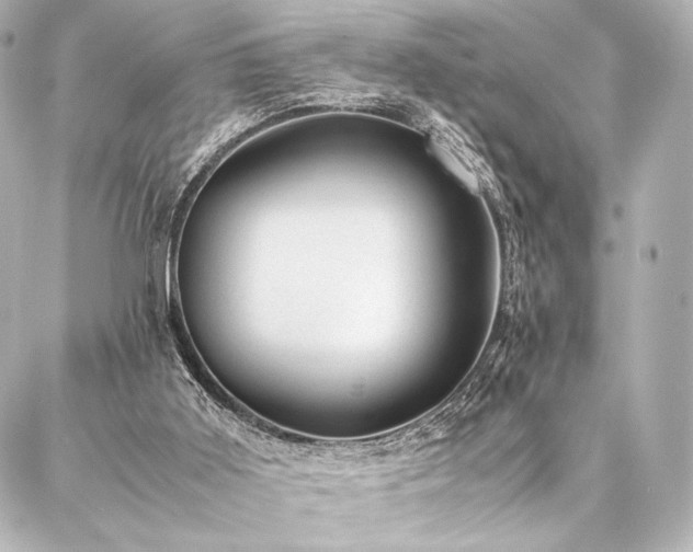 X0000086970011200704231527