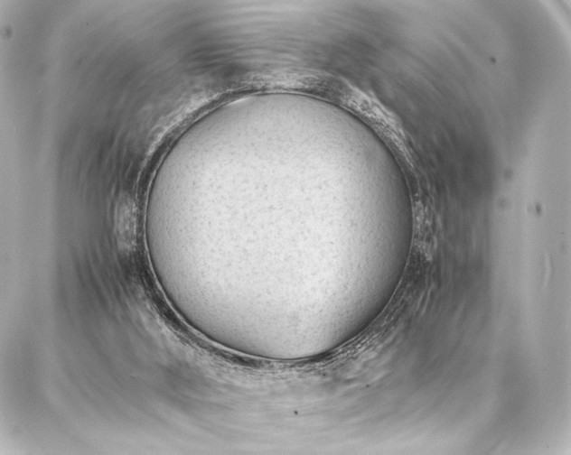 X0000086970012200704231527