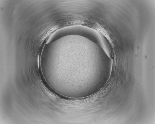 X0000086970013200704231527