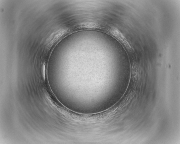 X0000086970014200704231527