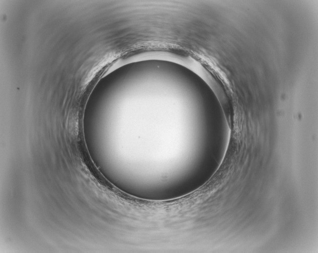 X0000086970015200704231527