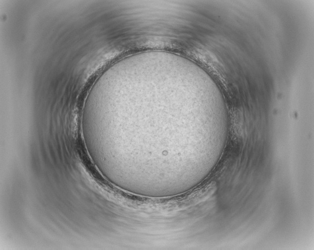 X0000086970016200704231527