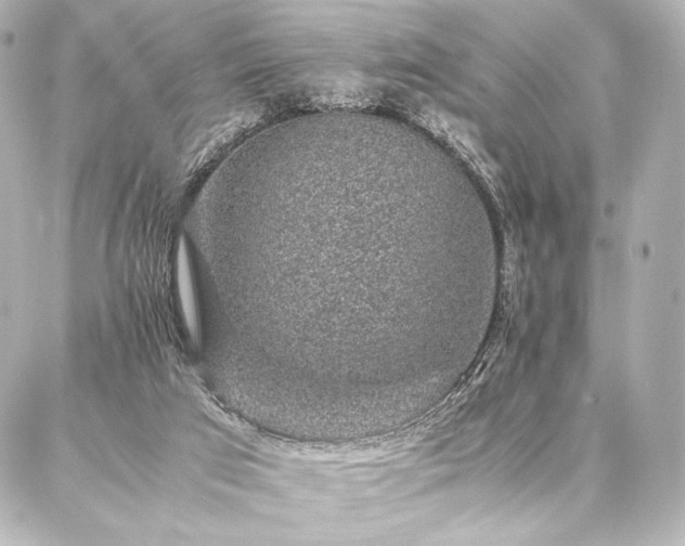 X0000086970017200704231527