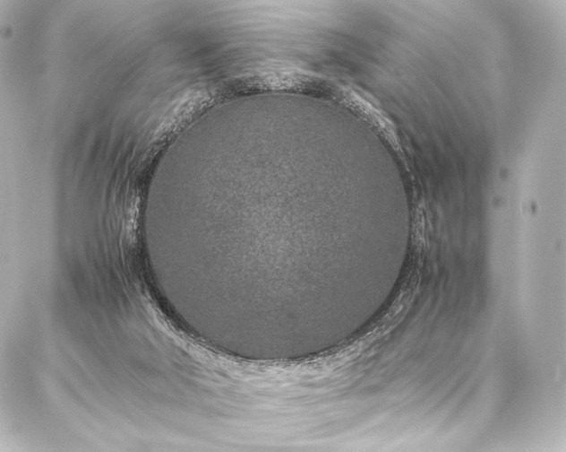 X0000086970018200704231527