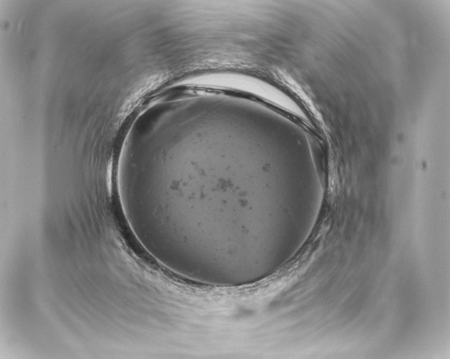 X0000086970019200704231527