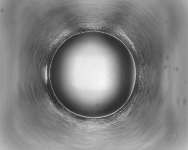 X0000086970020200704231527