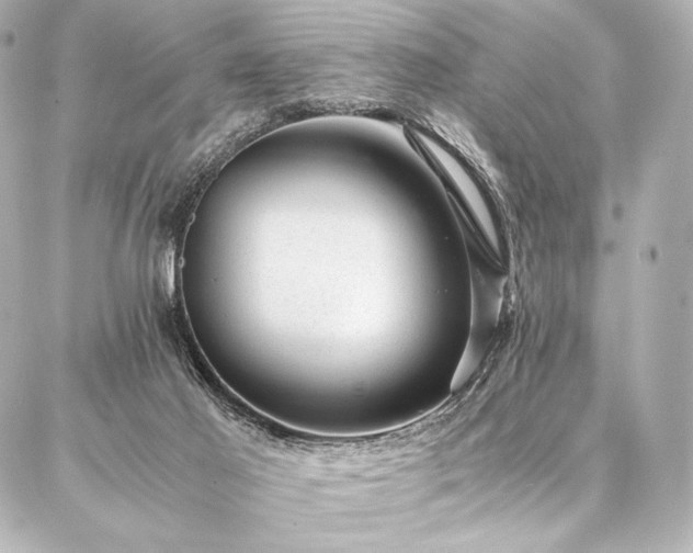 X0000086970021200704231527