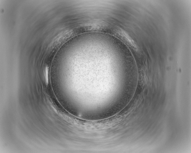 X0000086970022200704231527