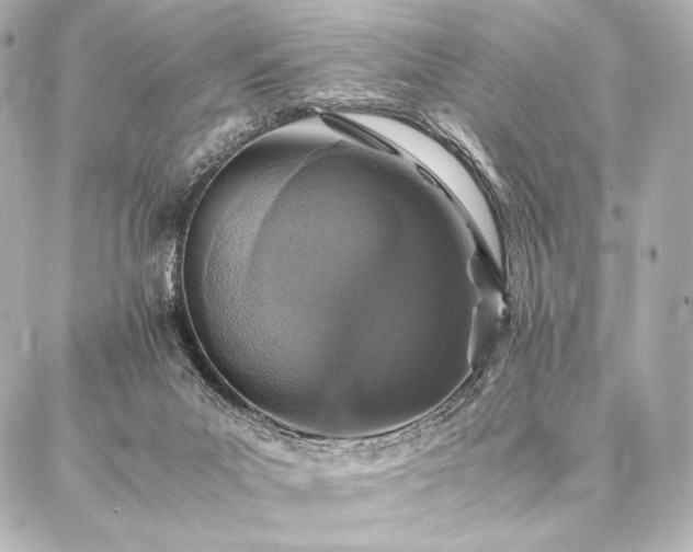 X0000086970023200704231527