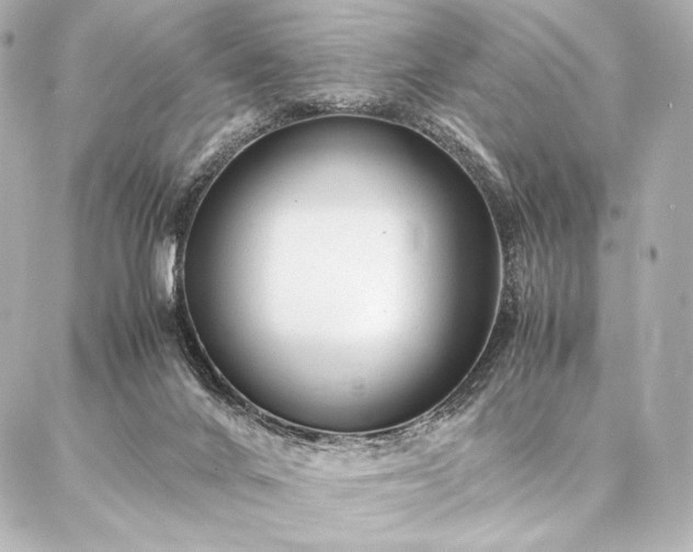 X0000086970024200704231527