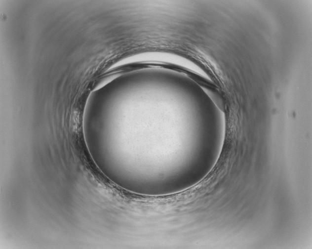 X0000086970025200704231527