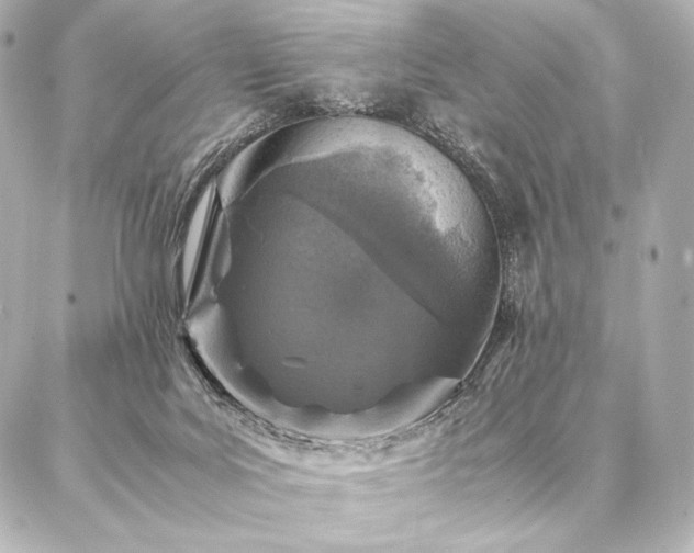 X0000086970027200704231527