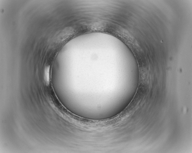 X0000086970028200704231527