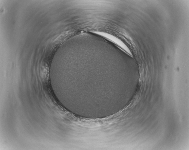 X0000086970029200704231527