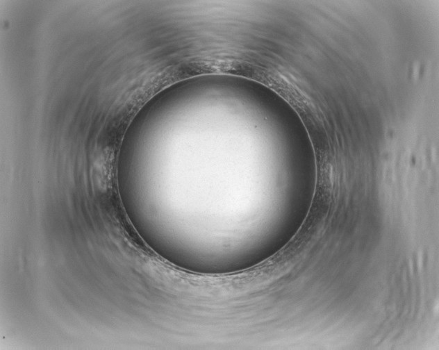 X0000086970030200704231527