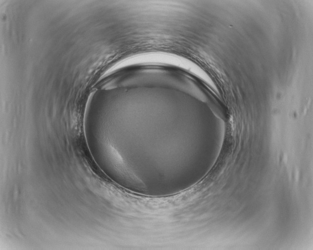 X0000086970031200704231527