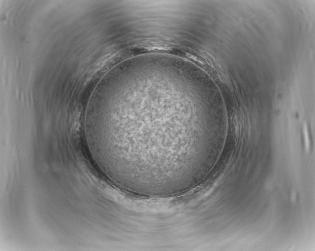 X0000086970032200704231527