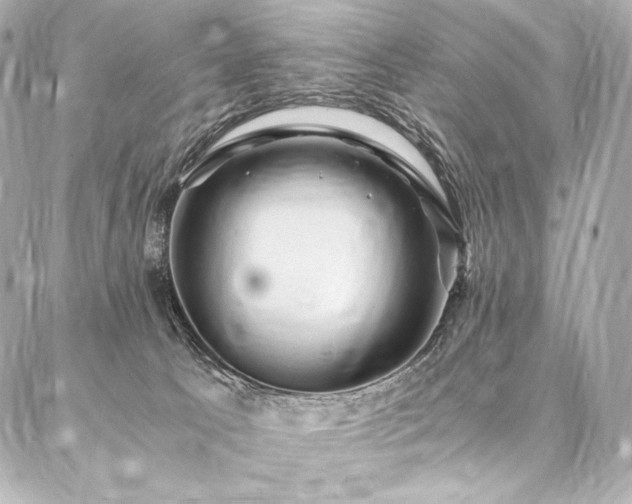 X0000086970033200704231527