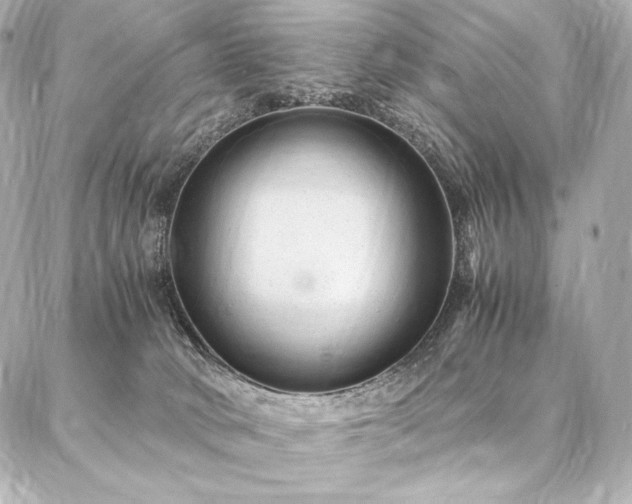 X0000086970034200704231527