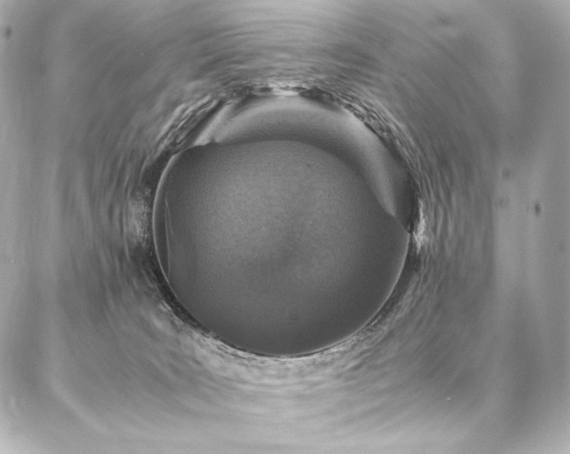 X0000086970035200704231526