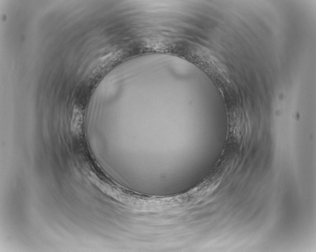 X0000086970036200704231526