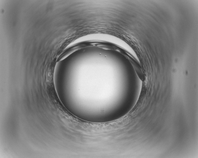 X0000086970037200704231526