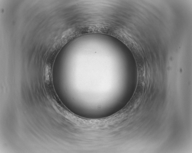 X0000086970038200704231526