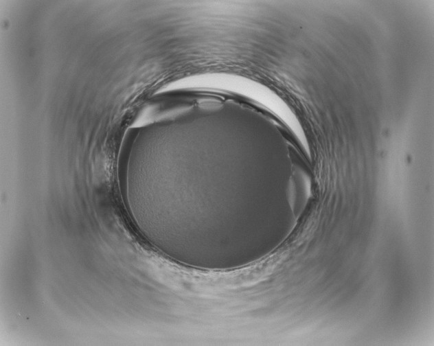 X0000086970039200704231526