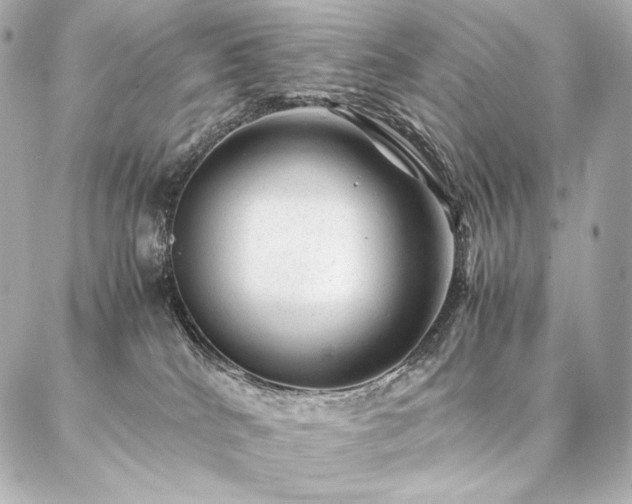 X0000086970040200704231526