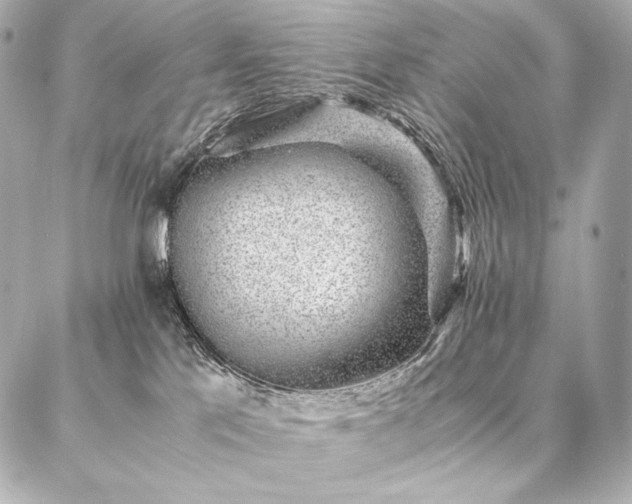 X0000086970041200704231526