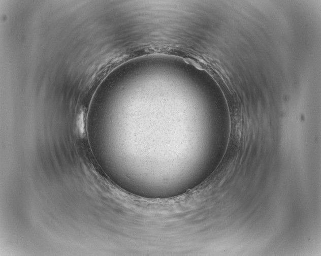 X0000086970042200704231526