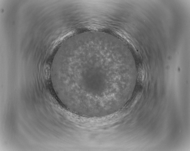 X0000086970043200704231526