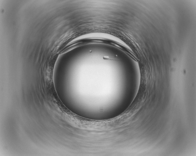 X0000086970044200704231526