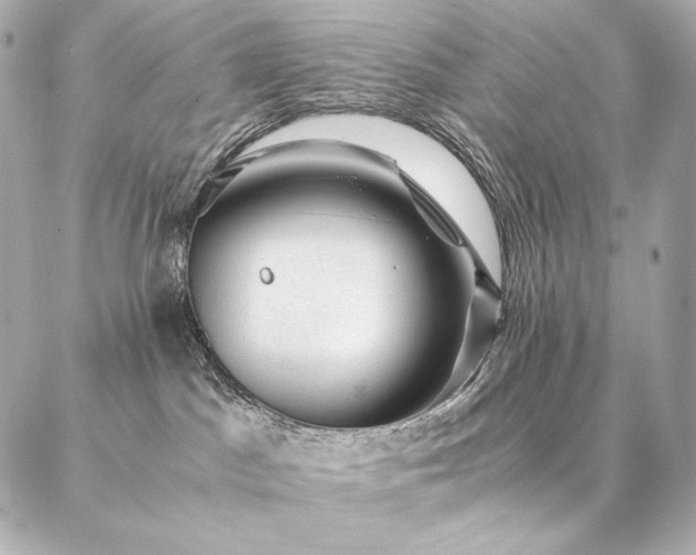 X0000086970045200704231526