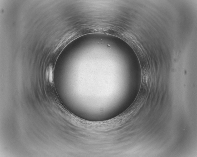 X0000086970046200704231526