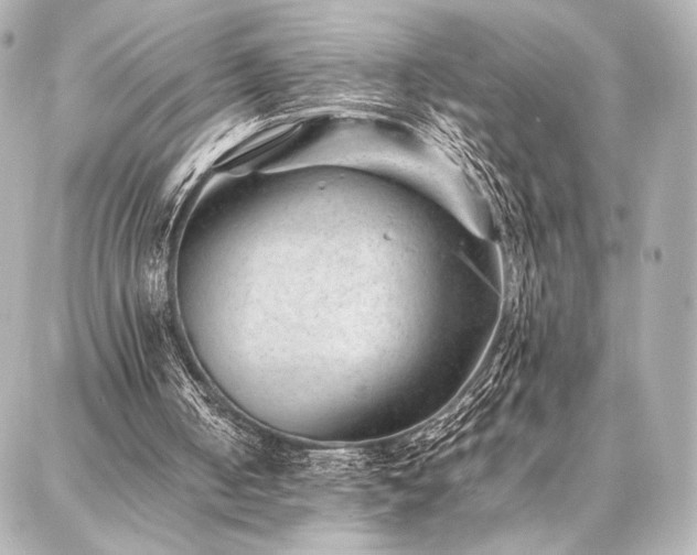 X0000086970050200704231526