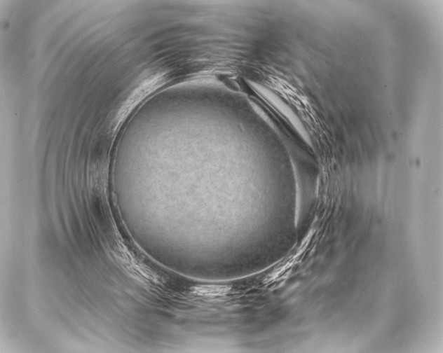 X0000086970051200704231526