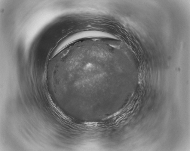 X0000086970052200704231526