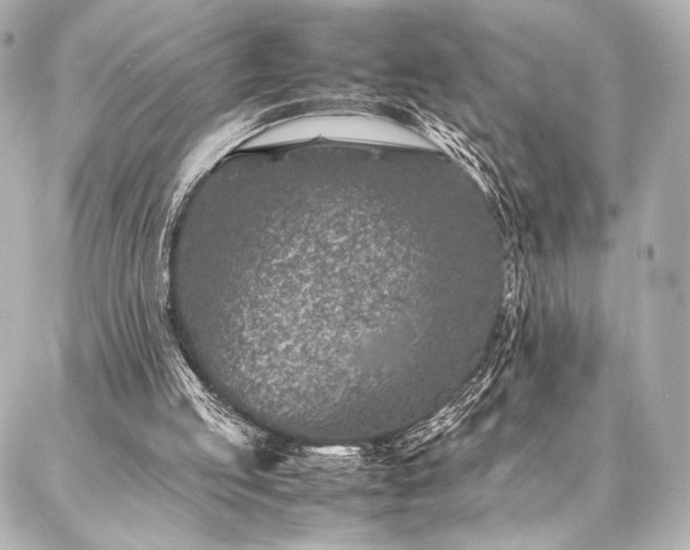 X0000086970053200704231526